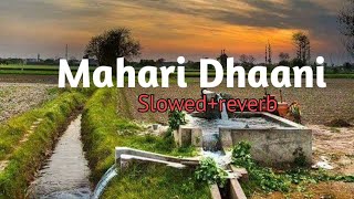 Mahari Dhaani main slowed reverb  Haryanvi song160K [upl. by Primo]