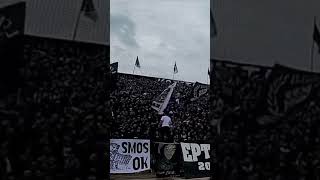 PAOK FANS [upl. by Aihsoj]