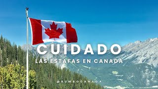 Alerta🚨Estafas en Canada  Trabajos en Canada [upl. by Mercie670]