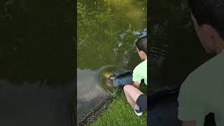 we release our carp on korum floating feeder [upl. by Feodore]