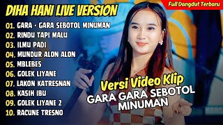 Diva Hani Ft Simpatik Music  GARA GARA SEBOTOL MINUMAN  FULL DANGDUT KOPLO TERBARU [upl. by Doone141]