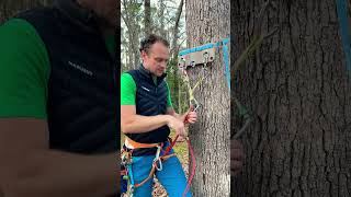 Locking carabiners climbing carabiner rockclimbing [upl. by Aneehta752]