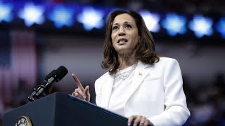 Kamala Harris la femme politique qui dérange la manosphère • FRANCE 24 [upl. by Aivonas976]