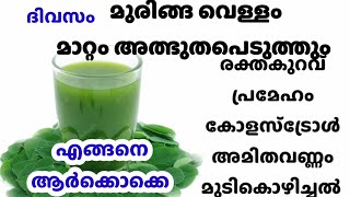 ശരിക്കും അത്ഭുത മരുന്ന് തന്നെ moringa super foodmoringahealthbenefitsmoringa powder benefits [upl. by Attolrac]