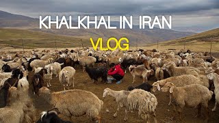 IRAN 2022VLOG OF KHALKHAL FOREST IN IRAN ASALEM ROAD گردش شهرستان خلخال در استان گیلان [upl. by Nuyh924]