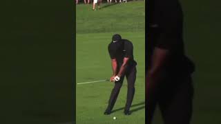 Tiger Woods Slow Motion Wedge Swing FO [upl. by Efi]