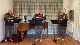 Corelli Trio Sonata Op 4 No 5 [upl. by Ocirled]