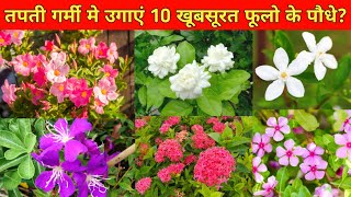 तपती गर्मी मे उगाएं 10 खूबसूरत फूलो के पौधे  10 Best Summer flower plants  10 Best Flower Plants [upl. by Ennahgem416]