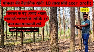 पोपलर के पेड़ दवाई खाद तरीका वराइटीकी सही जानकारी how to plant poplar trendBharatkisanjivan [upl. by Nakasuji181]