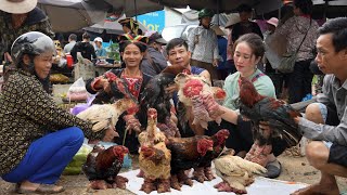 First time introducing strange bigfooted chicken breed to the market Vàng Hoa [upl. by Malan94]