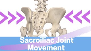 Sacroiliac Joint Movement Nutation II Counternutation II Sacral Torsion II Iliac Torsion [upl. by Ebenezer]