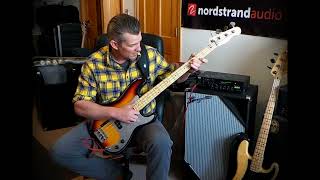 Throaty P Bass Tone  Bergantino  Nordstrand  Galli strings  Andy Irvine [upl. by Karole330]