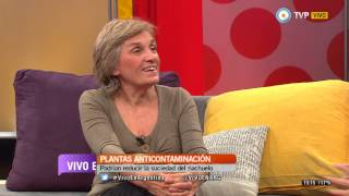 Vivo en Arg  Plantas anticontaminantes  280515 [upl. by Tnek]