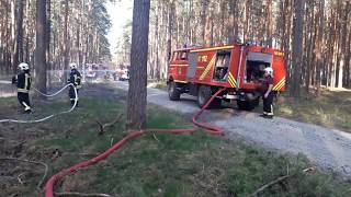 Feuerwehr Birkholz beim Waldbrand nahe Hermsdorf [upl. by Ensign]