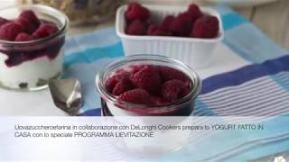 Yogurt fatto in casa senza fermenti [upl. by Roel]