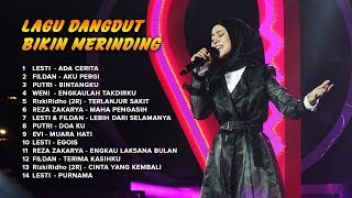 LAGU DANGDUT BIKIN MERINDING [upl. by Auhel872]