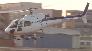 Airbus Helicopters AS350B3 Ecureuil JA35HD Landing and Takeoff [upl. by Ahseit]