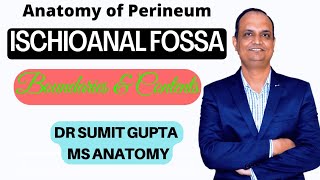 ISCHIOANAL FOSSA  Anatomy [upl. by Glogau]