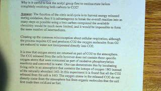 Why is the acetyl group attached to oxaloacetate [upl. by Edelsten]