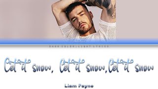 Liam Payne Let It Snow Let It Snow Let It Snow Lyrics Color Coded ENGESP [upl. by Eycats]