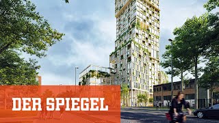 Boom beim nachhaltigen Bauen Die HolzWolkenkratzer kommen  DER SPIEGEL [upl. by Vernor902]