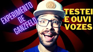 TESTEI O EXPERIMENTO DE GANZFELD  NÃO FAÇA OUVI VOZES [upl. by Dunston829]