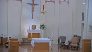 November 4 2024 at 800 am Catholic Mass from Our Lady of Peace Vacherie LA [upl. by Giza]