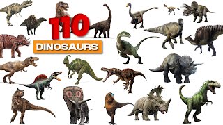 ALL 110 Dinosaurs Name 110 Dinosaurs Name in English With Pictures ll Jurassic World Dinosaur Name [upl. by Yerrot34]