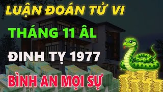 Tử vi tuổi ĐINH TỴ 1977 tháng 11 âm lịch BÌNH AN VƯỢT QUA TẤT CẢ [upl. by Alburg855]