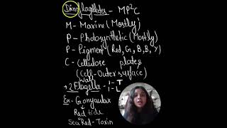 Dinoflagellates  MustKnow for NEET 2025 amp Boards  Quick Tips  neet2025 biologymcq [upl. by Nired]