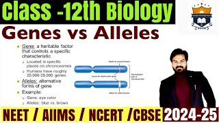 Gene vs Allele difference  Difference between Genes and Allele class 12 Biology  NEET [upl. by Atinnek]