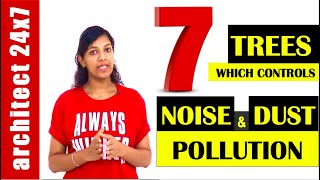 7 TREES WHICH CONTROL NOISE AND DUST POLLUTION [upl. by Nnaeilsel858]