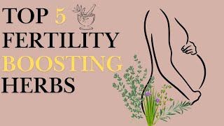 MINDBLOWING Natural Fertility Boosters That Actually Work [upl. by Maryann]