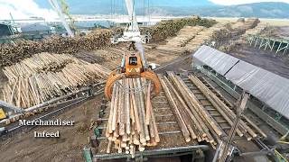 Logs to Lumber  An aerial journey through the sawmill [upl. by Demetri]