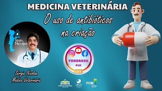 Posso usar antibióticos na minha criação de aves Mitos e verdades sobre o uso de remédio na criação [upl. by Lenuahs]