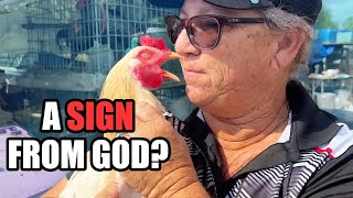 God Used A Rooster To Reach This Amazing Woman [upl. by Sadie]