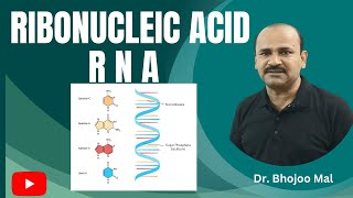 RNA  by Dr Bhojoo Mal [upl. by Cozmo812]