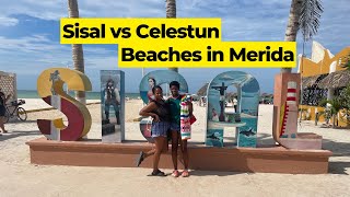 Best Beaches in Merida Road trip to Sisal and Celestun [upl. by Ariek948]