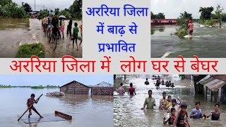 Bihar Araria Jila Ka Aaj Ka Taaja Khabar Bihar Araria Flood News Today अररिया न्यूज। बिहार में बाढ़ [upl. by Dinah]