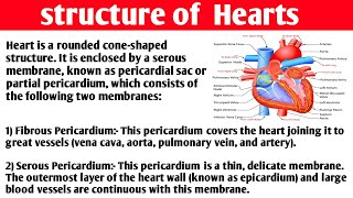 Heart Anatomy and physiology Structure of Heart  Layers of HeartEpicardiumMyocardiumEndocardium [upl. by Ford]