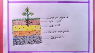 how to draw layers of soil easy steplayers of soil drawing [upl. by Rafaelita]