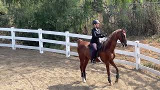 Horseback Riding Lesson July 13 2024 [upl. by Ecenaj]