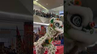 Dismount  Khuan Loke  Lion Dance Championship 2024  Kuala Lumpur [upl. by Daley480]