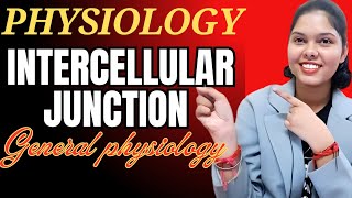 intercellular junctions  general Physiology  important topics of general Physiology physiology [upl. by Skees]