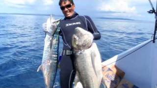 DivingSpearfishing Indonesia Huge Fish in Mentawai [upl. by Dorolisa]