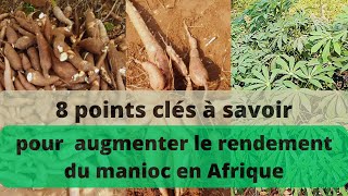 Comment augmenter le rendement de la culture du manioc en Afrique [upl. by Cayla507]