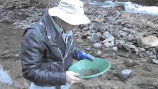 Gold Prospecting the South Umpqua River Oregon  First Strike [upl. by Tychonn]