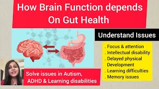 How does brain function depend on Gut health Fact you must understand for better learning amp focus [upl. by Naiva711]