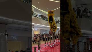 Dai Tong Bak Hock  Pinnacle Sri Petaling Mall Lion Dance Championship 2024  Highlights [upl. by Joselow]