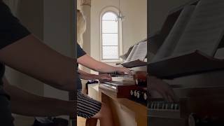 Physharmonika J Ch H Rinck Fuga op 55 E F Walcker Orgel 1846 Kirche Hoffenheim Shorts organ [upl. by Arriaet]